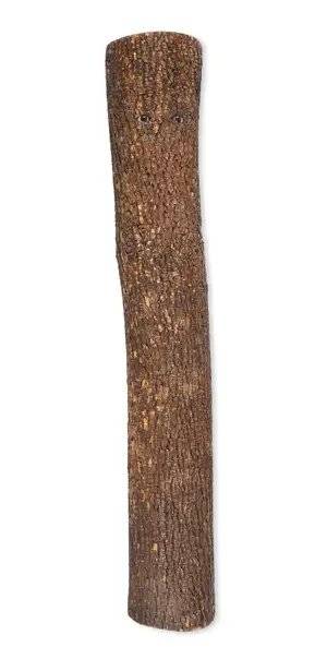 Pinocchio (After Carlo Collodi)