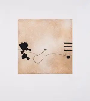 Victor Pasmore — Images on the Wall E, Edition B (Lynton G72e)