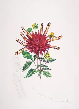 Salvador Dalí — Dahlia Rapax, from Surrealistic Flowers (Field 72-7H; M&L 538)