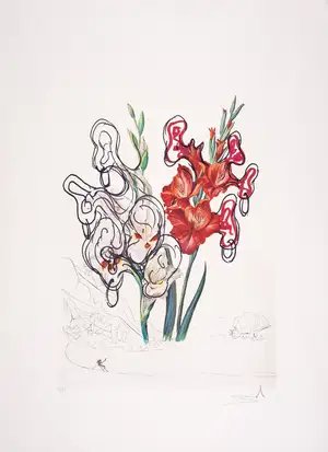 Salvador Dalí — Gladiolus Cum Aurium Corymbo, from Surrealistic Flowers (Field 72-7G; M&L 541)