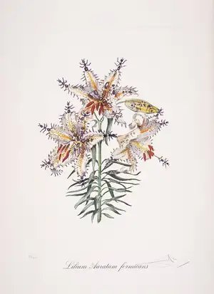 Salvador Dalí — Lilium Auratum Forimicans, from Surrealistic Flowers (Field 72-7K; M&L 548)