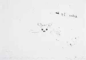 Docket the Cat (Monotype)