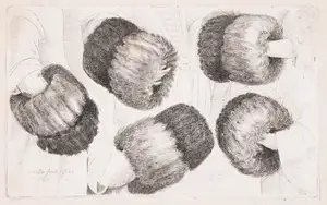 A Muff in Five Views