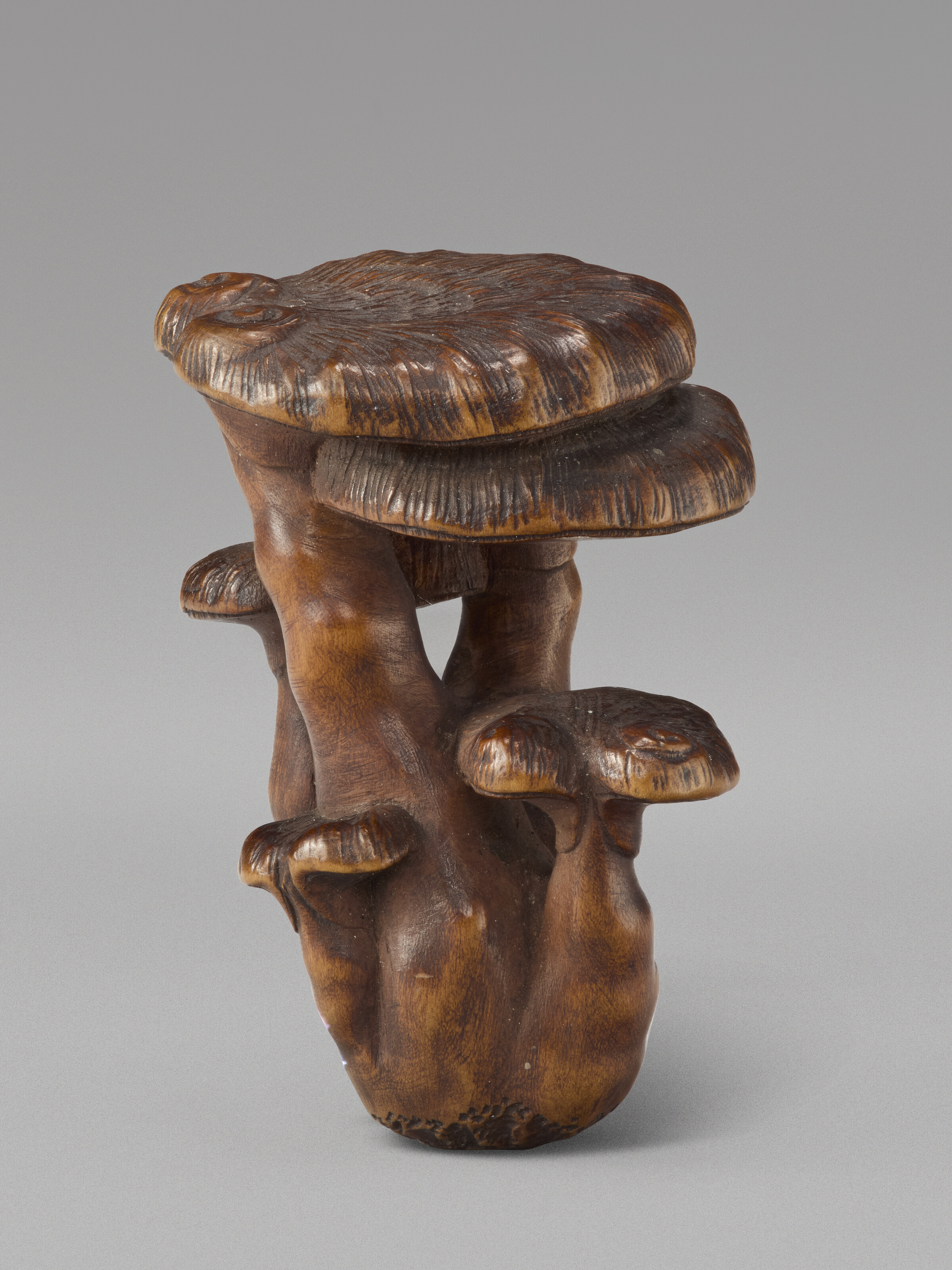 A Carved Wood Netsuke Miniature Sculpture Of Reishi Funguses — EDO PERIOD (19TH CENTURY), SIGNED MASANAO