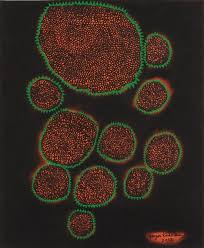 Yayoi Kusama — The Cosmos