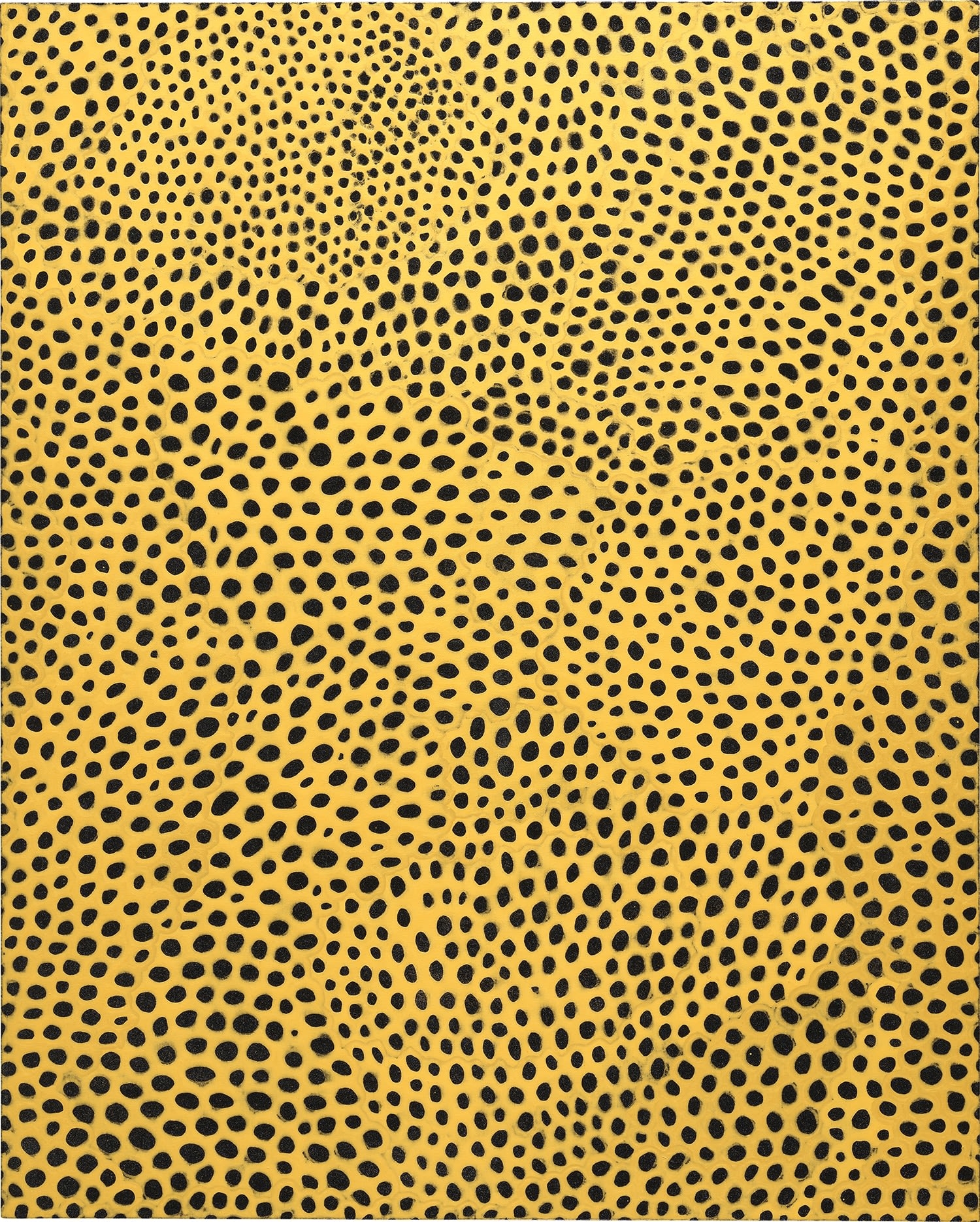 Yayoi Kusama — Infinity-nets (gmbka)