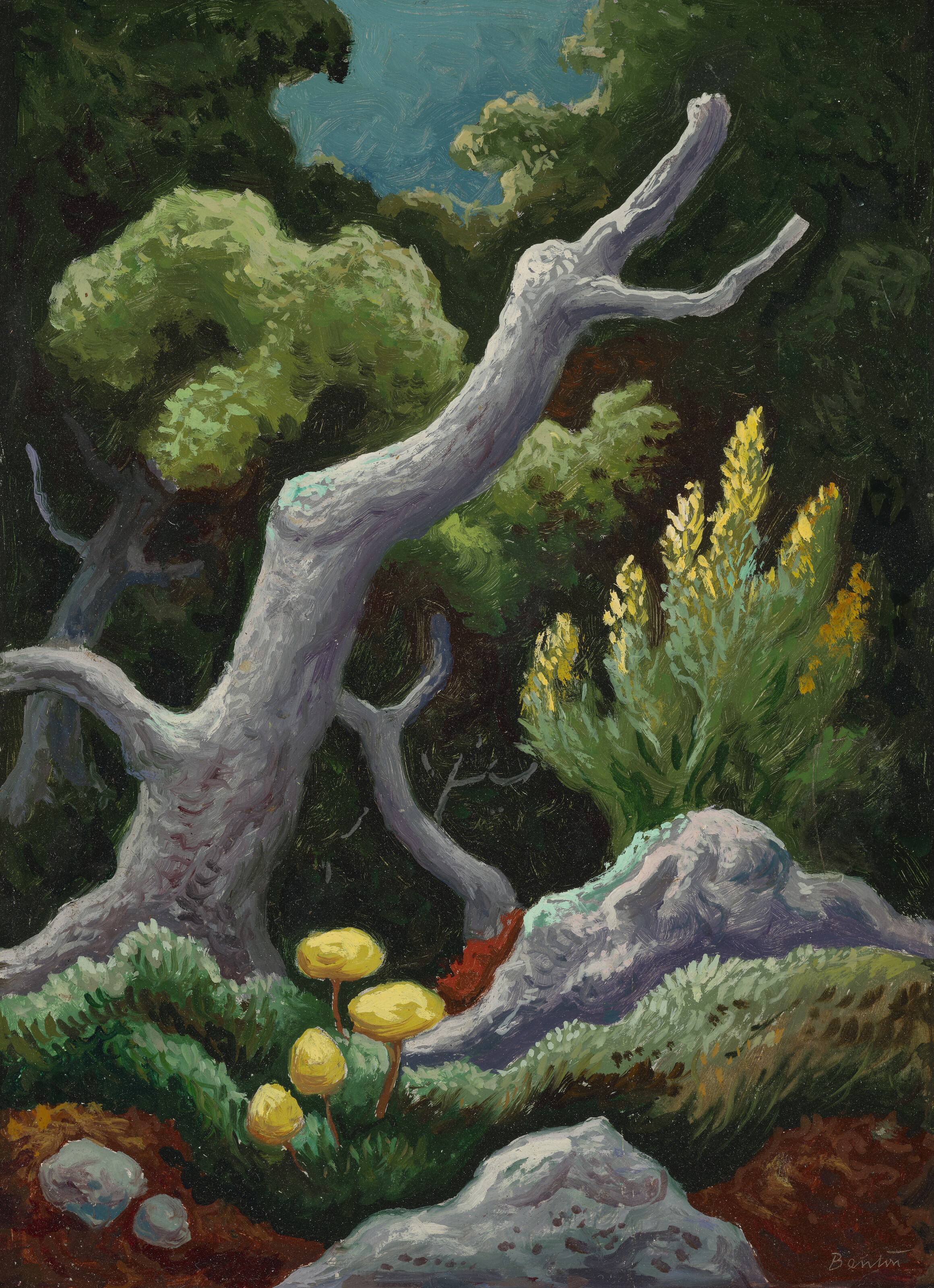 Four Brothers (Woodland Chilmark)