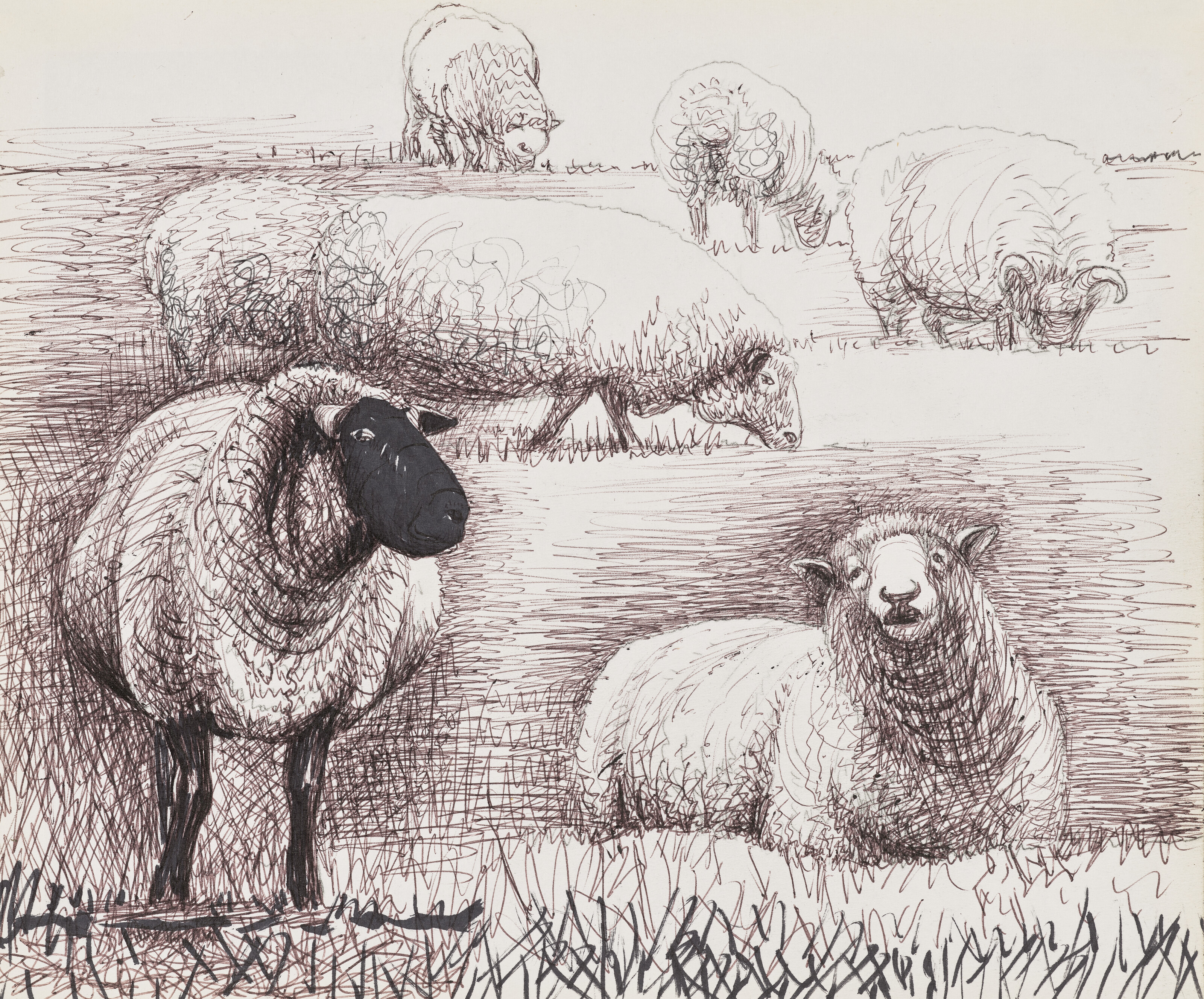 Henry Moore — Field of Sheep