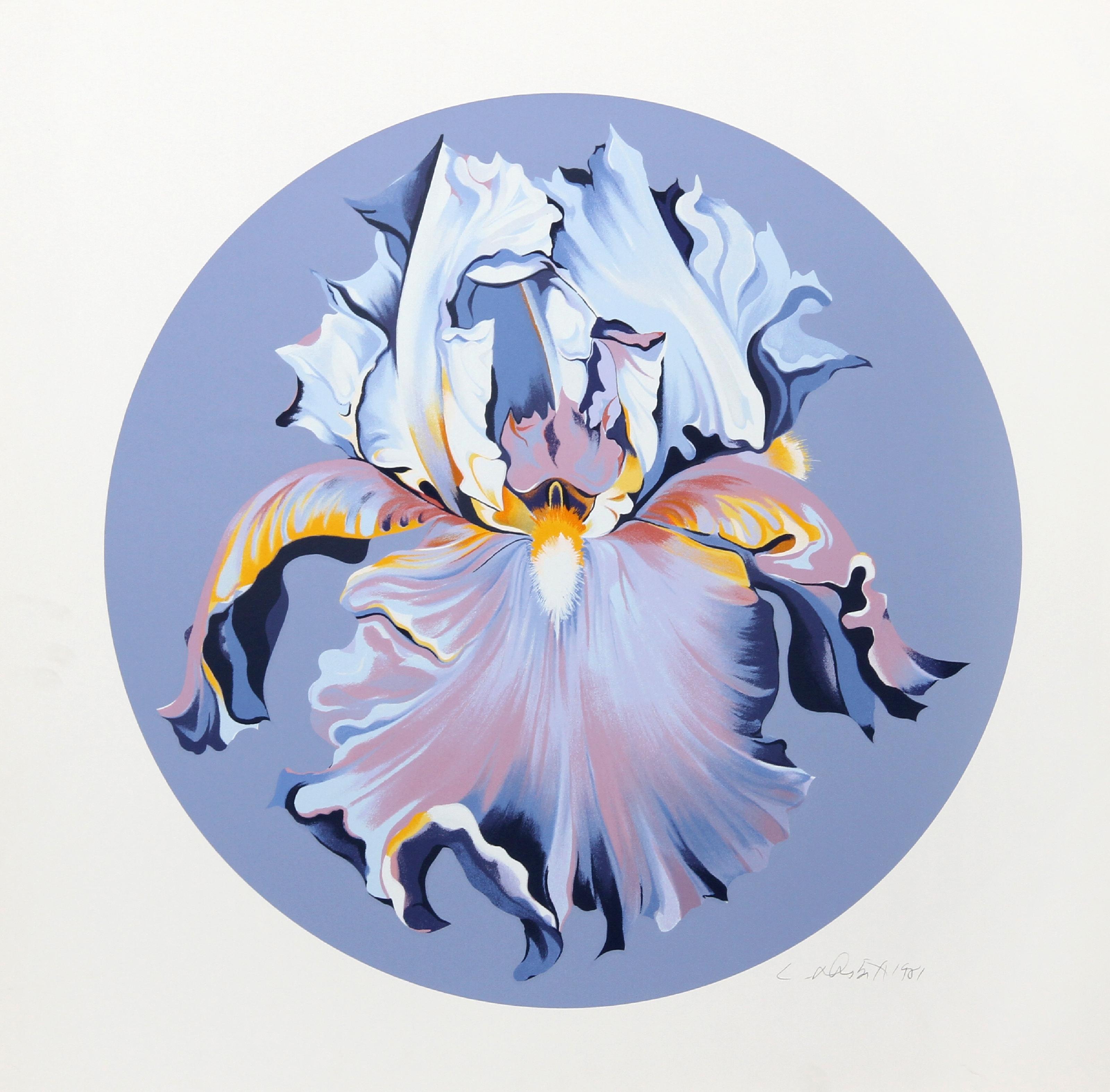 Iris on Blue III
