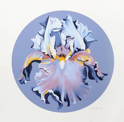Iris on Blue III