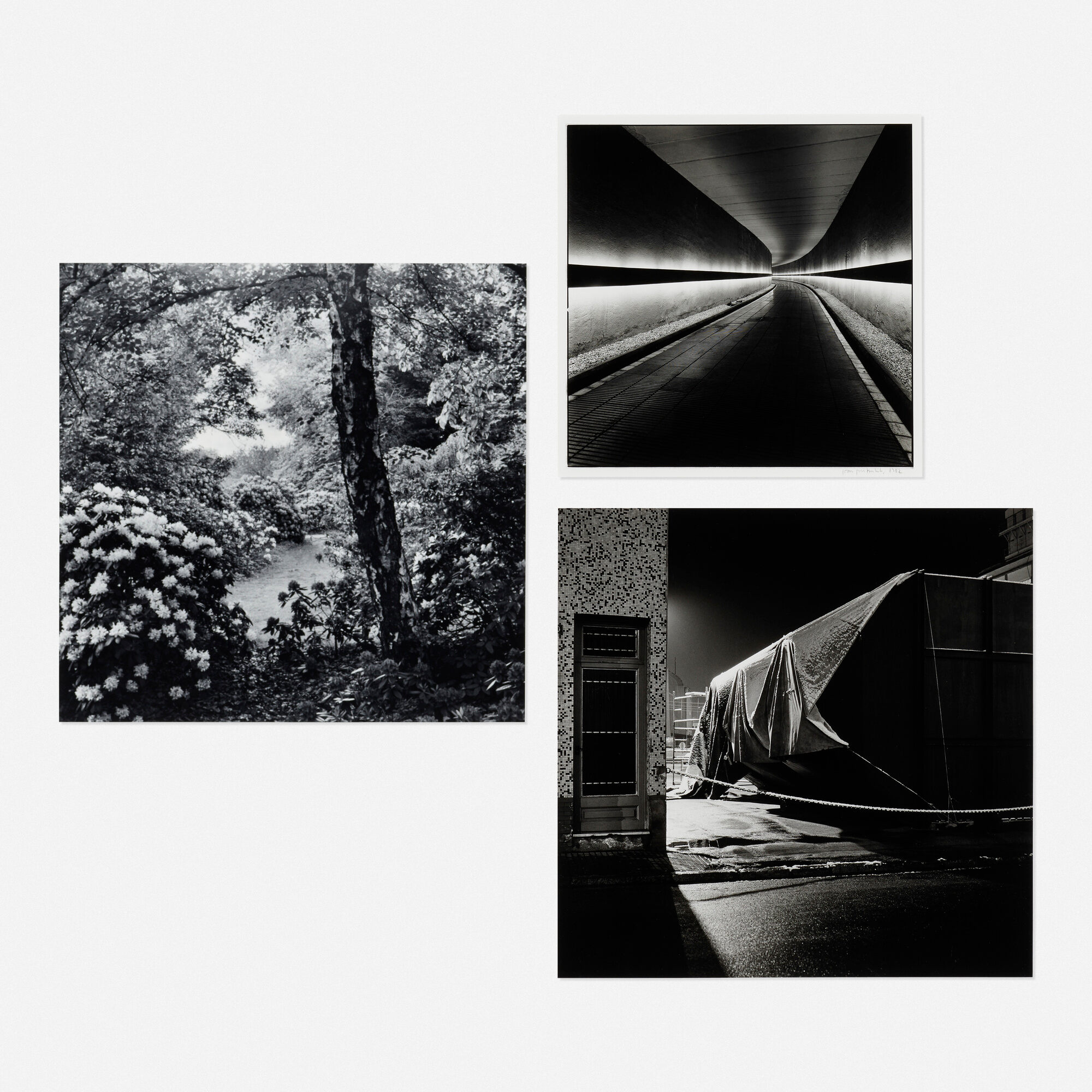 Joan Fontcuberta — Couloir Central Electrique; Factoria Camp; Garden (three works)