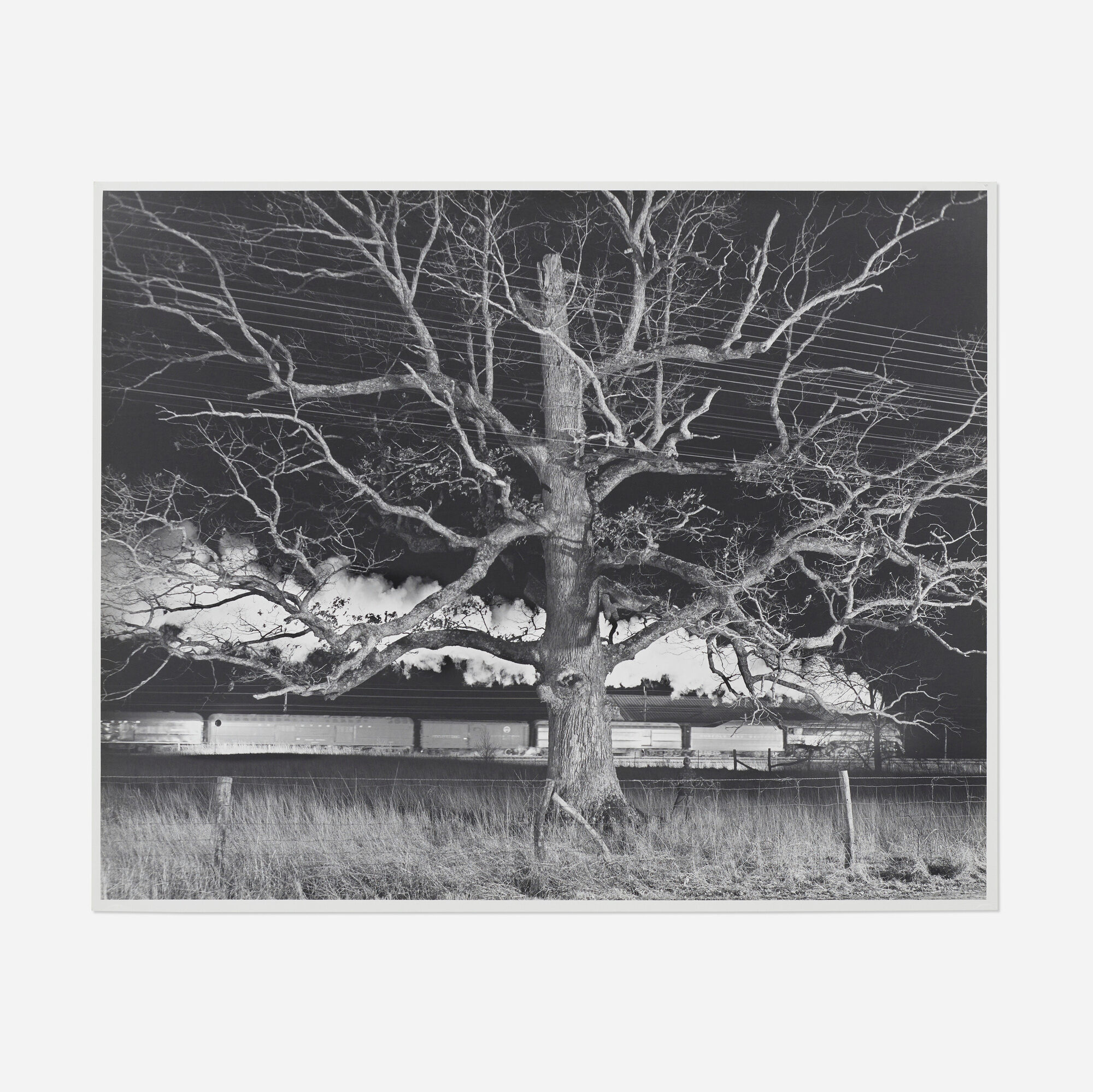 O. Winston Link — Giant Oak, Max Meadows, Virginia
