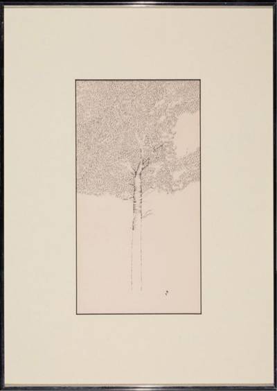 Summer Tree
