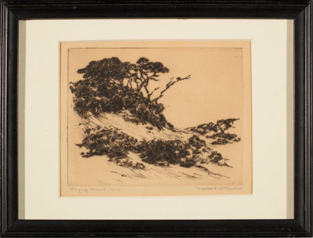 Donald Frederick Witherstine — "Clinging Cedars"