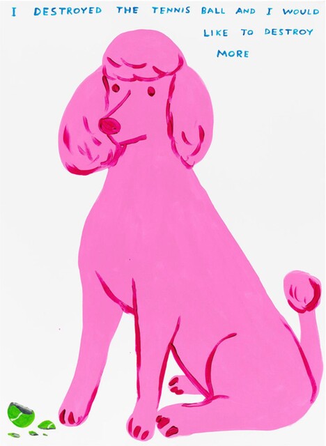 David Shrigley — I Destroyed the Tennis Ball