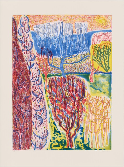 Shara Hughes — Finding Balance