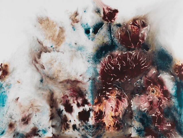 Cai Guo-Qiang 蔡国强 — Ying Yang Peonies