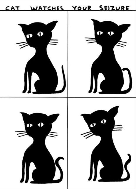 David Shrigley — Untitled (Cat Watches Your Seizure)