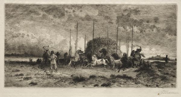 Harvest at San Juan, New Mexico