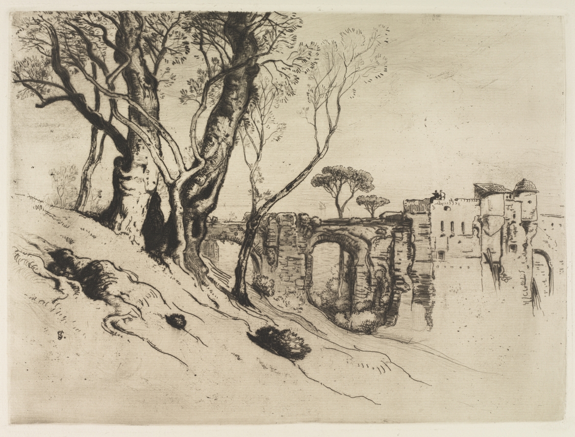 Olive Trees of the Riviera