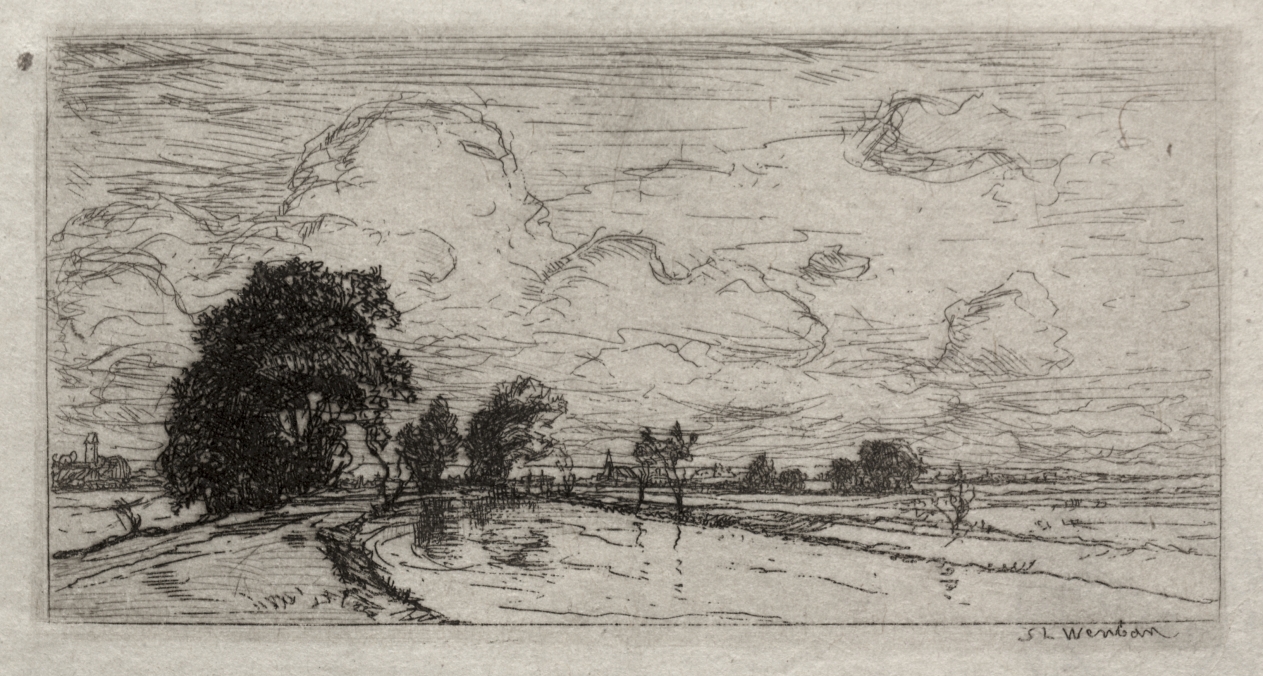 Flooded Landscape with Trees