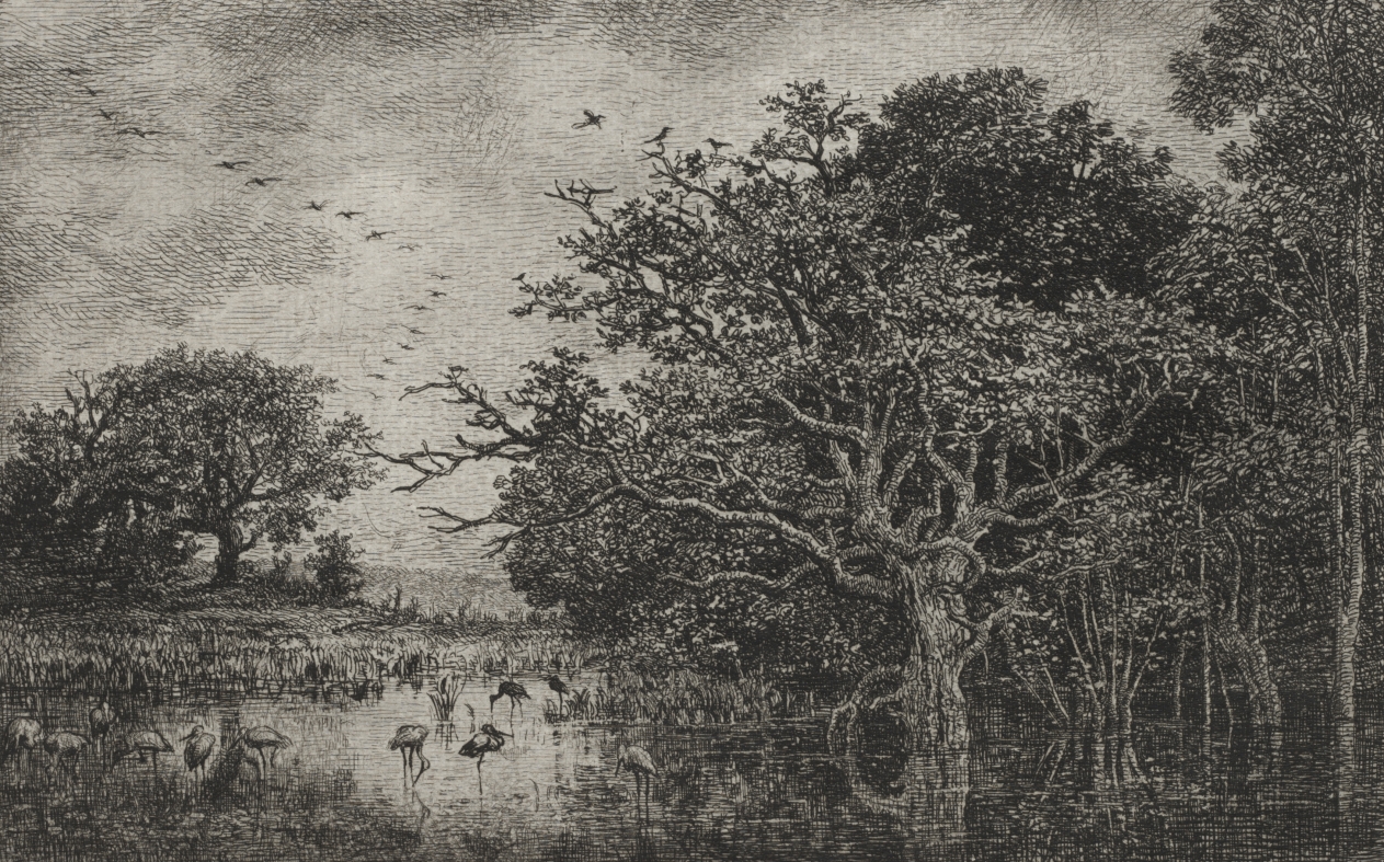 Charles François Daubigny — The Marsh with Storks