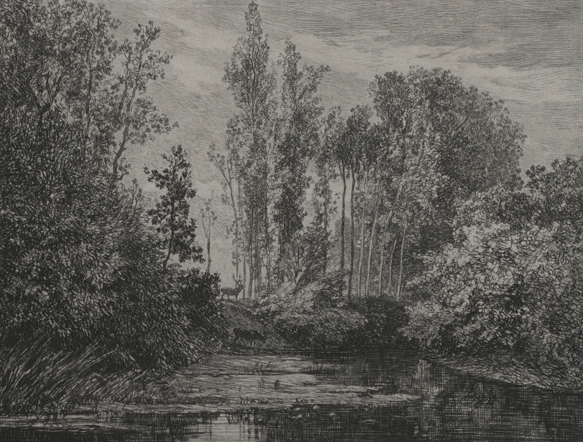Charles François Daubigny — Stags at the water's edge
