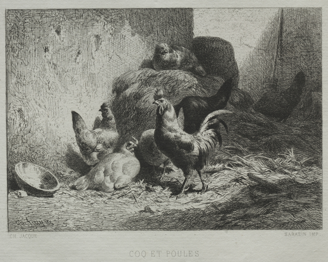Charles-Émile Jacque — Cock and Hens
