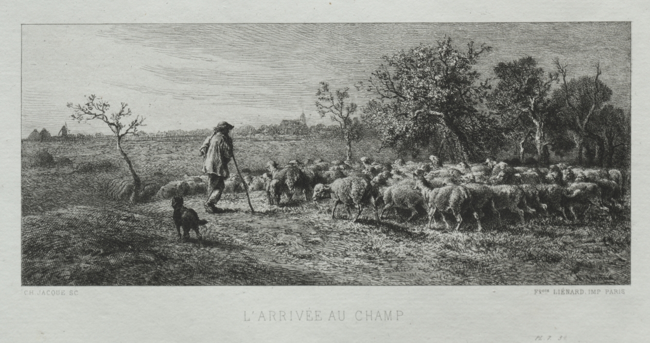 Charles-Émile Jacque — Arriving at the Field