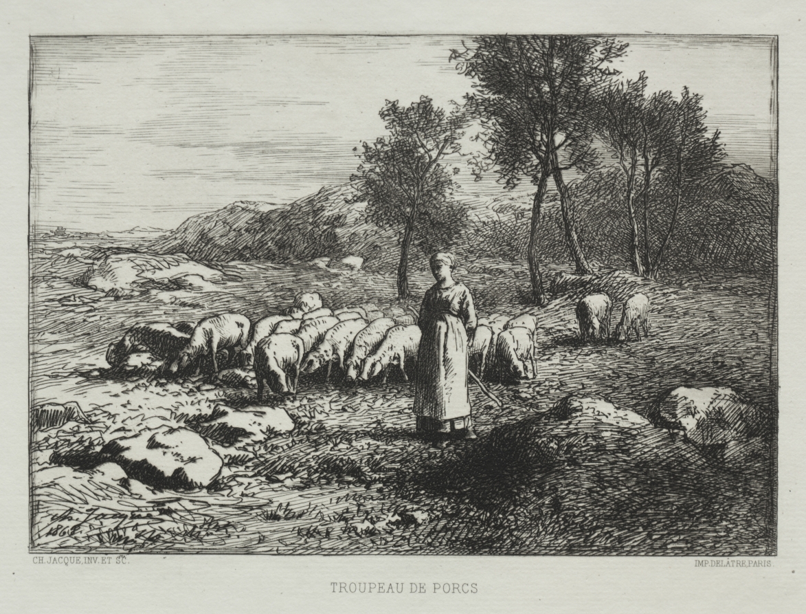 Charles-Émile Jacque — Herd of Swine