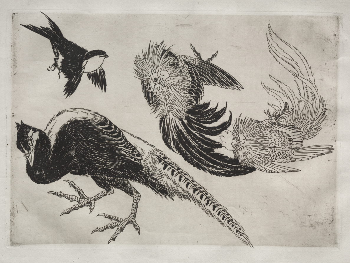 Félix Bracquemond — Dinner Service (Rousseau service): Pheasants and bird (no. 18)
