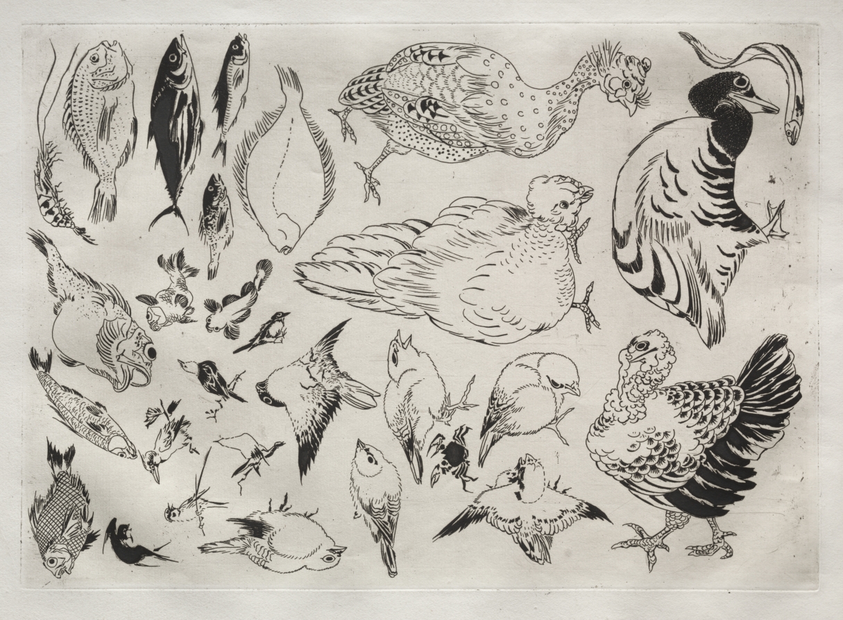 Félix Bracquemond — Dinner Service (Rousseau service): Ducks, fish, etc. (no. 12)