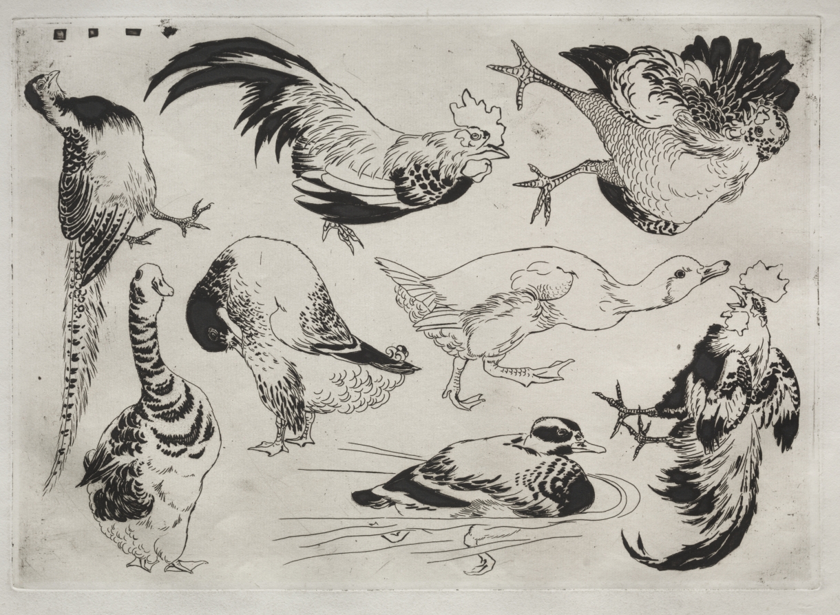 Félix Bracquemond — Dinner Service (Rousseau service): Roosters, ducks, etc. (no. 13)