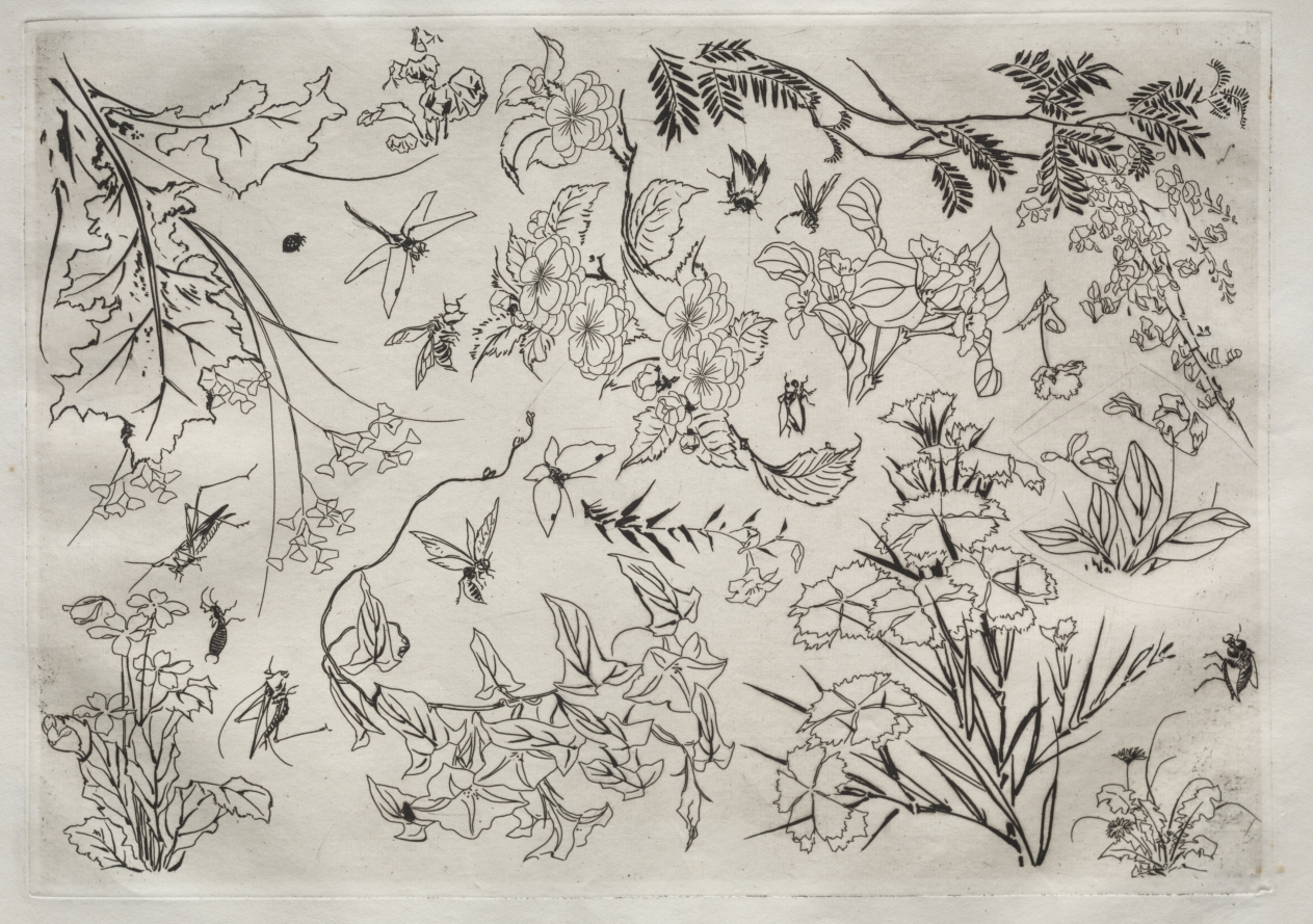 Félix Bracquemond — Dinner Service (Rousseau service): Flowers (no. 22)