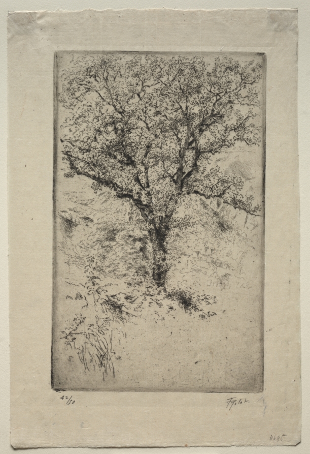 Tigrane Polat — The Great Oak Tree, Monte Oliveto