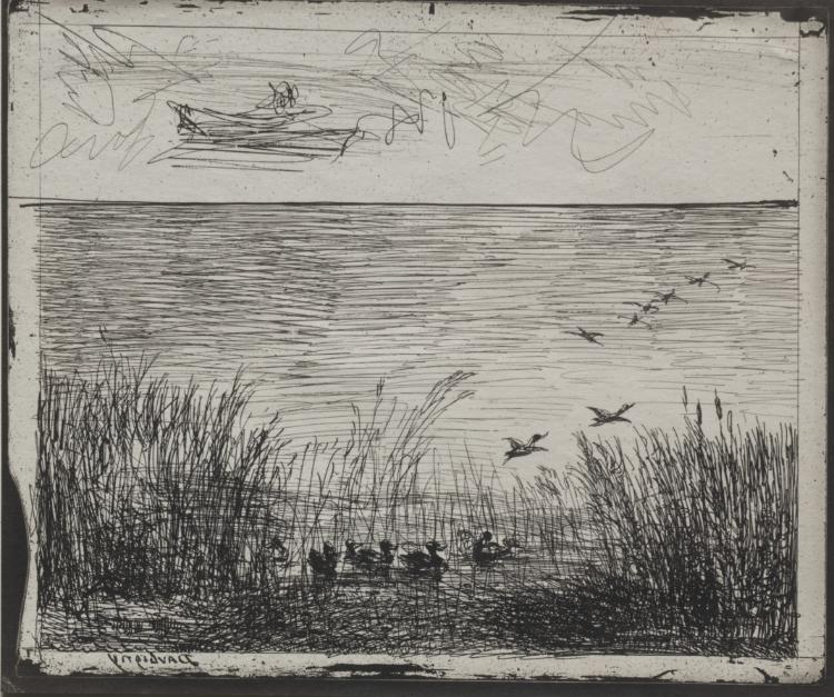 Charles François Daubigny — Swamp with Ducks