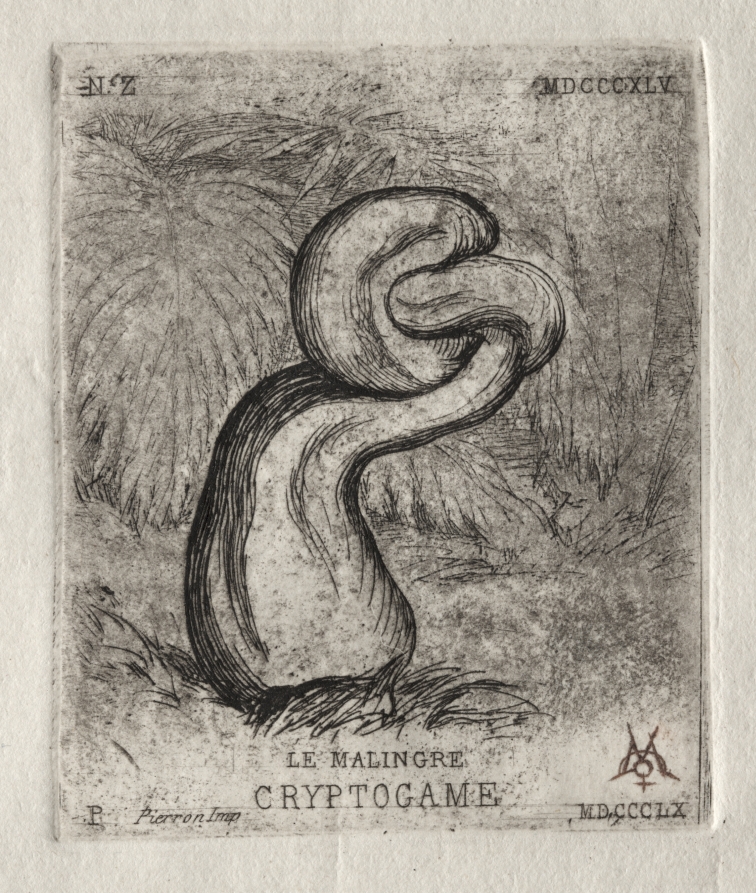 Charles Méryon — The Sickly Cryptogam