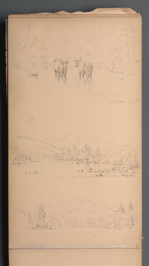 Sanford Robinson Gifford — Sketchbook, page 07: "Carter Mt (?) Aug. 28th"
