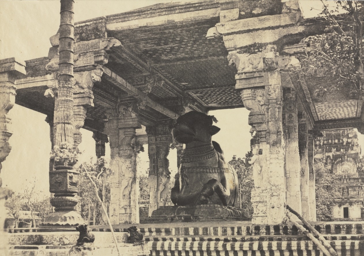 Captain Linnaeus Tripe — Great Pagoda, Great Bull, Front View, Tanjore, India (Rajarajeshvara Temple), plate 12 from Photographic Views of Tanjore and Trivady (Madras: Madras Presidency)