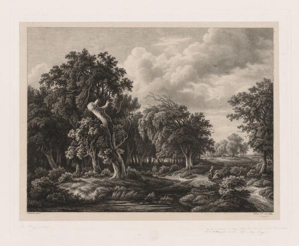 Groups of Various Plants Drawn After Nature:  No. 7