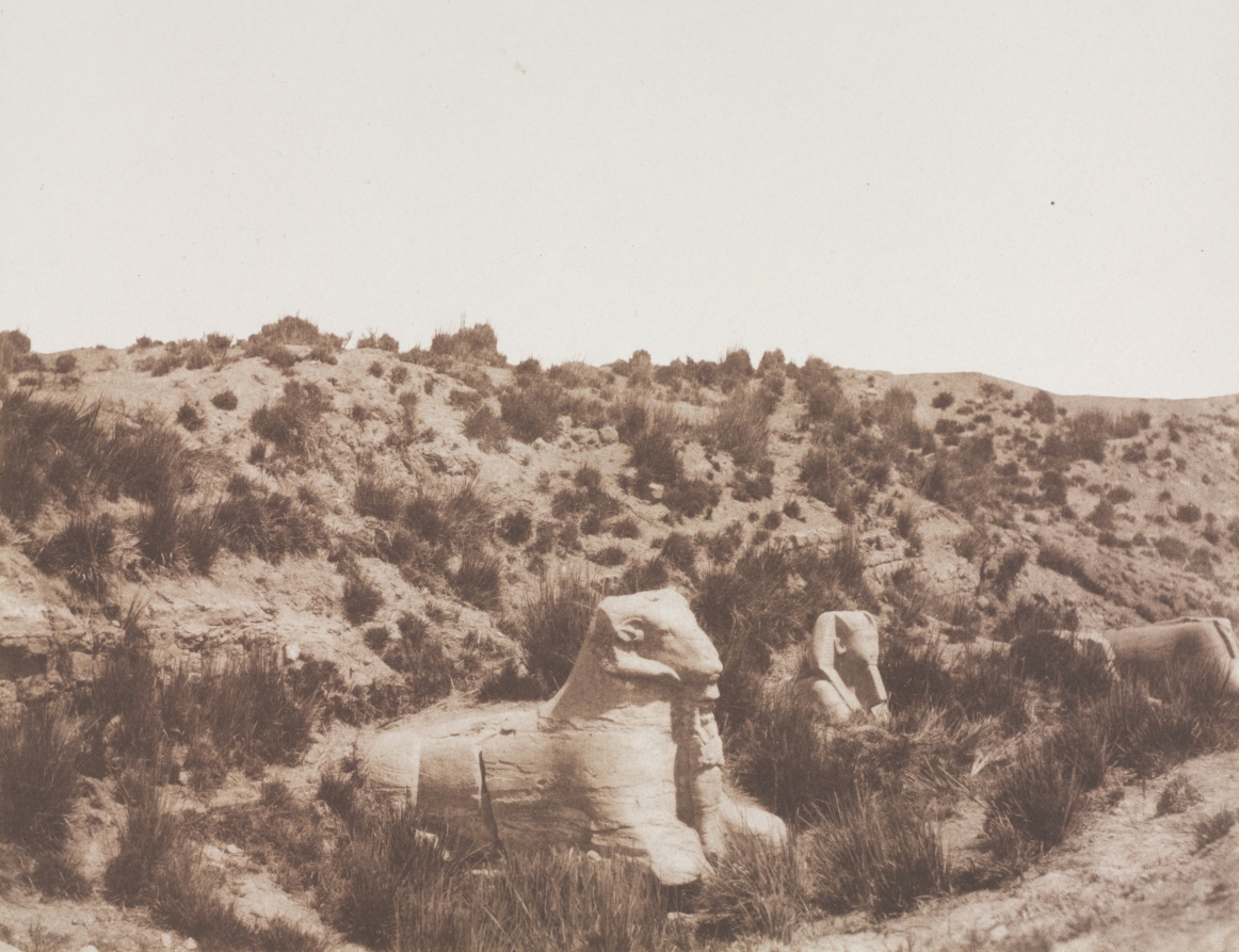 Sphinxes with a Human Head and with a Ram Head at Point Y. Karnak (Thebes)
