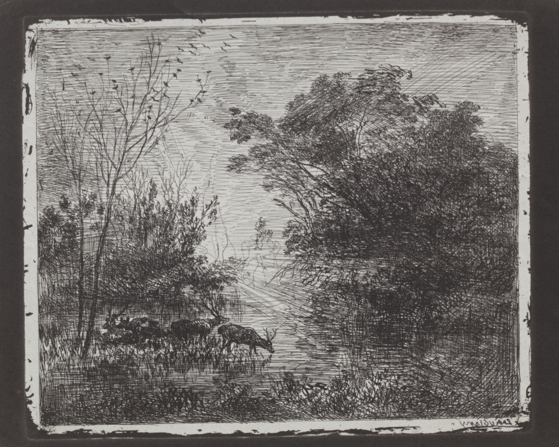 Charles François Daubigny — Deer