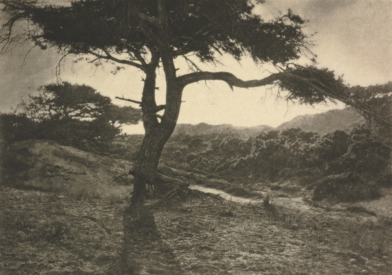 Camera Work: The Long Arm