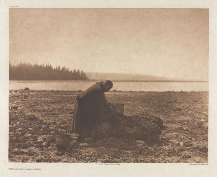 Edward S. Curtis — Portfolio IX, Plate 313: The Mussel Gatherer