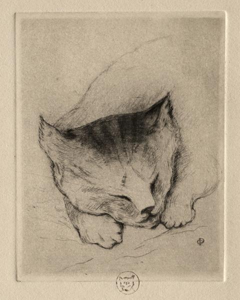 Six Etchings: Head of a Kitten
