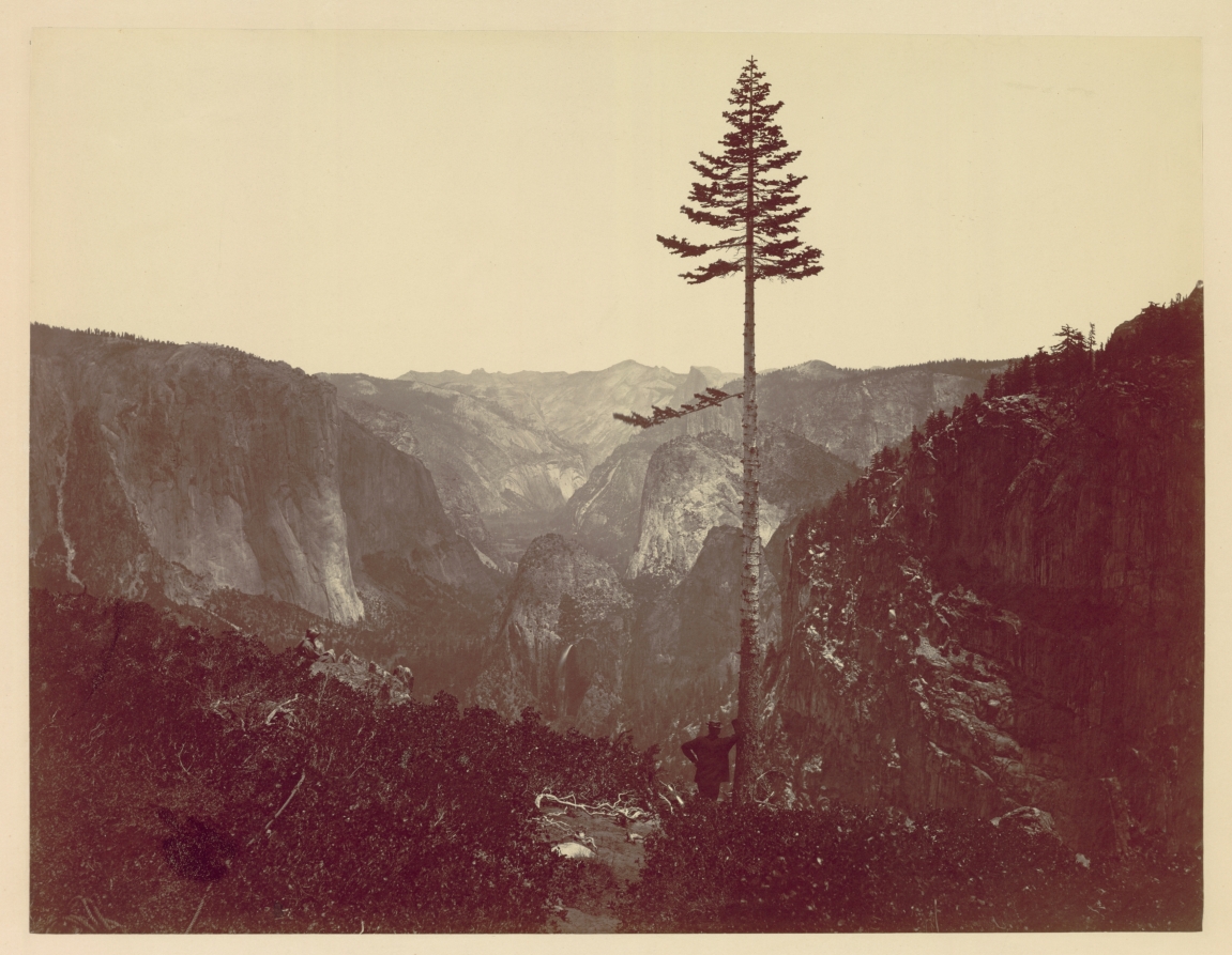 Yosemite Valley from Mariposa Trail