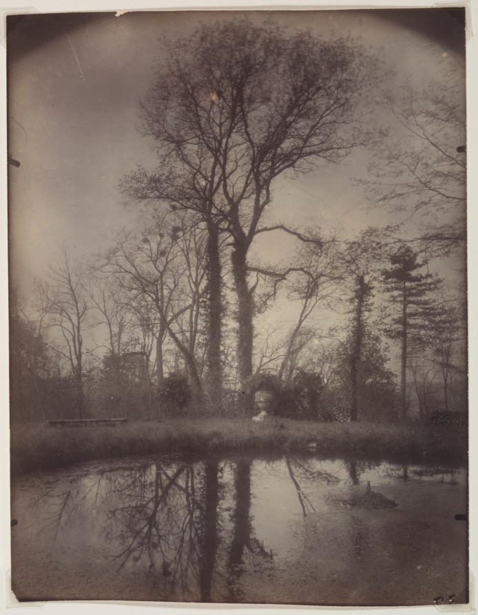Eugène Atget — The Park at Sceaux [April 1925, 7a.m.]