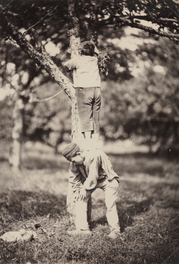Auguste Giraudon's Artist — French Country Study: Two Boys Climbing a Tree