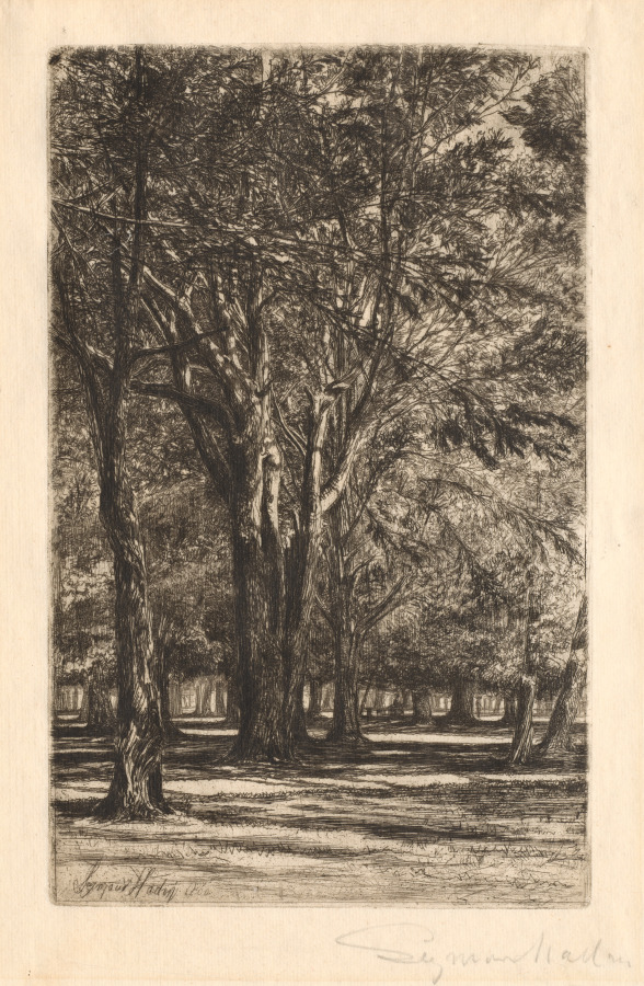 Francis Seymour Haden — Kensington Gardens, No. 2 (Large Plate)