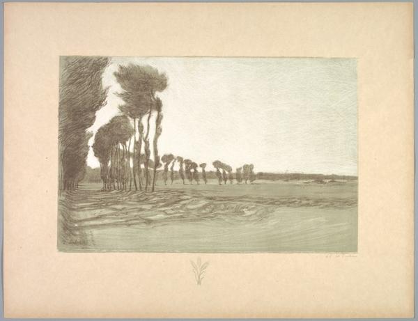 Suite de Paysages: Landscape,  Plate 5, Remarque, Three Stalks of Wheat